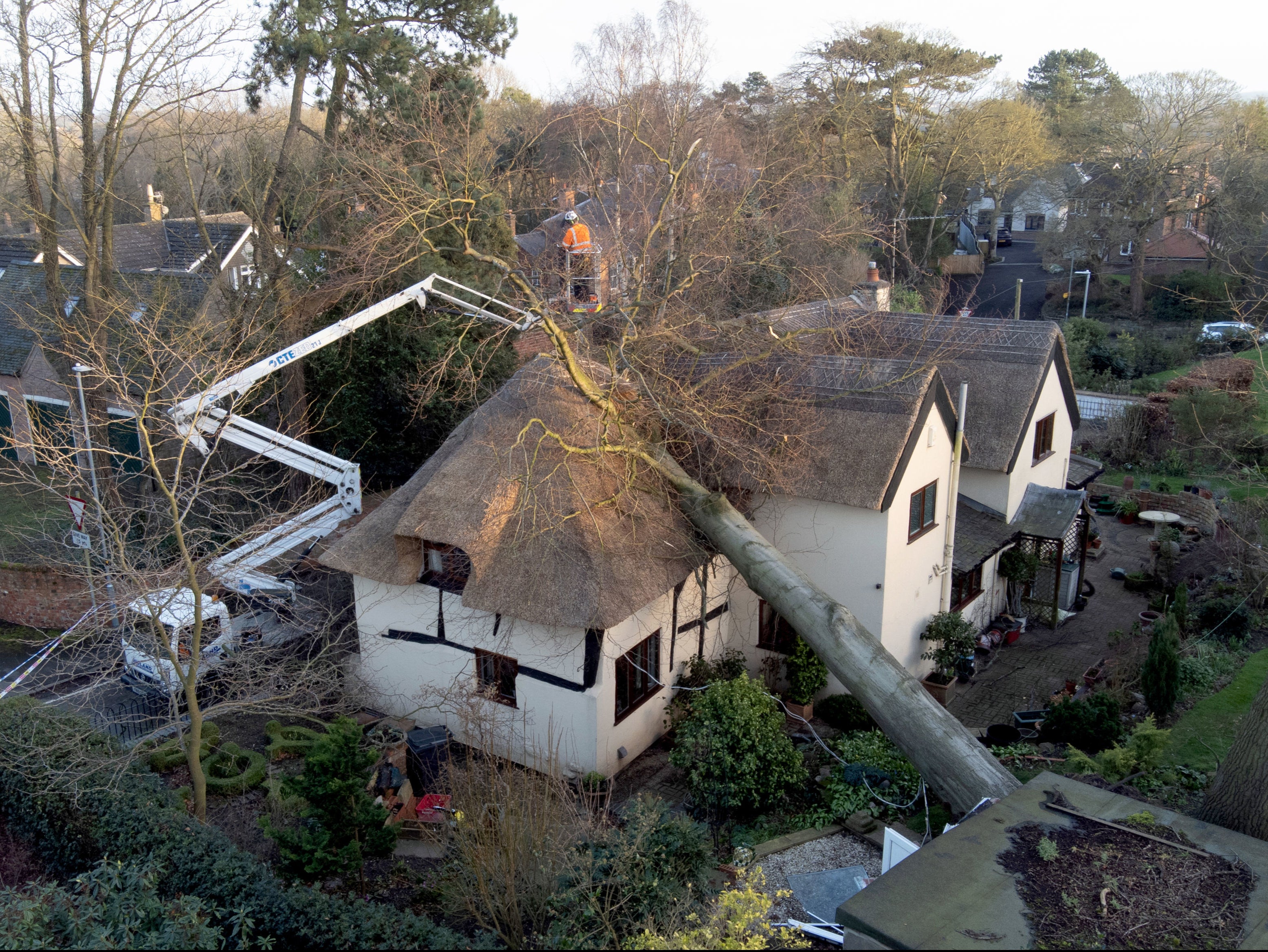 A tree crashed into a 17th-century thatched cottage in Ashby-de-la-Zouch, Leicestershire