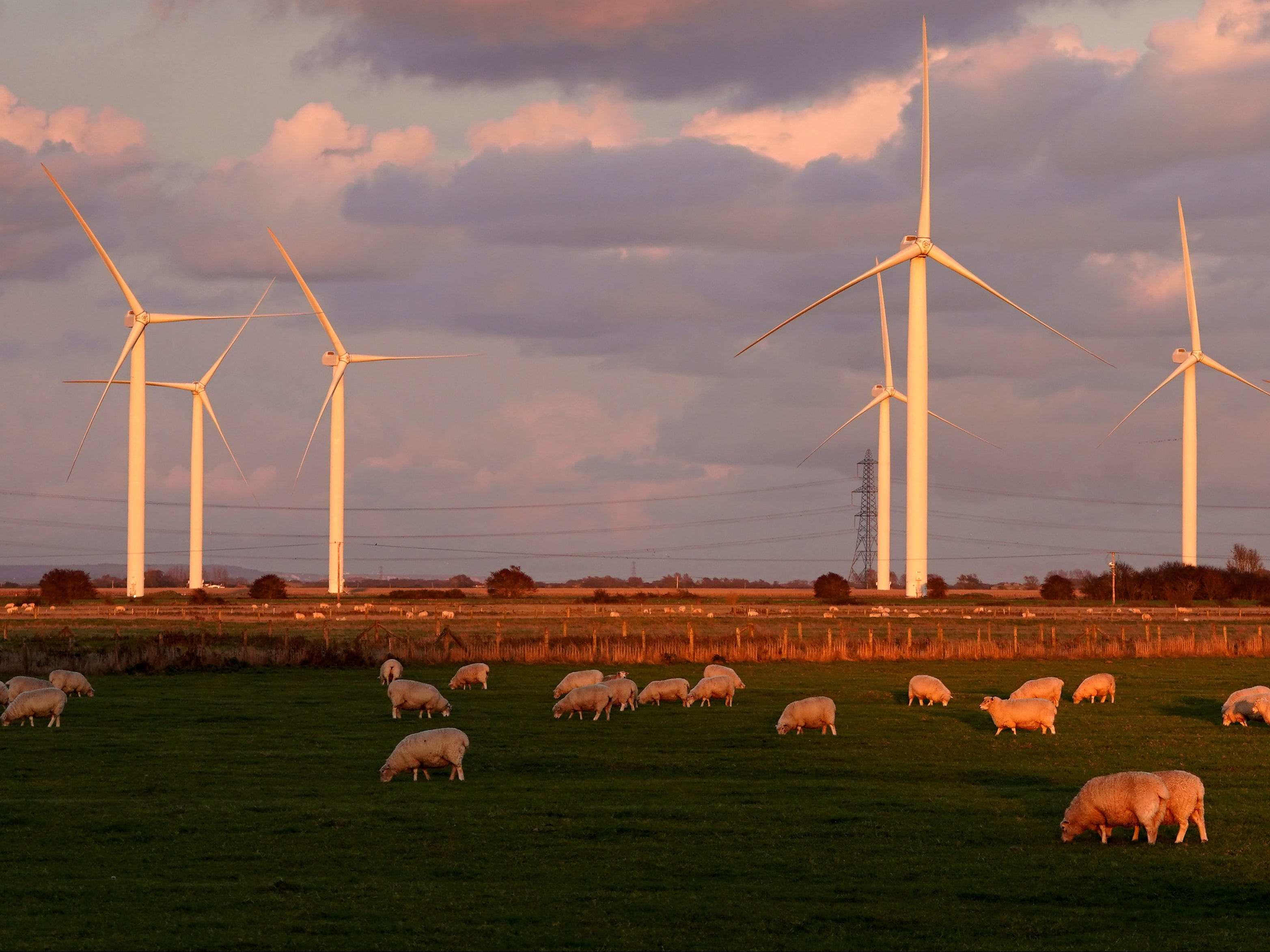 Industry leaders say reaching net zero is a good business investment