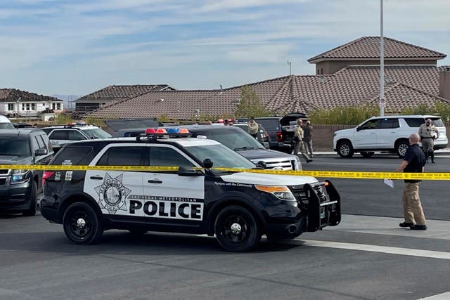 Vegas Lawyer Ponzi Scheme