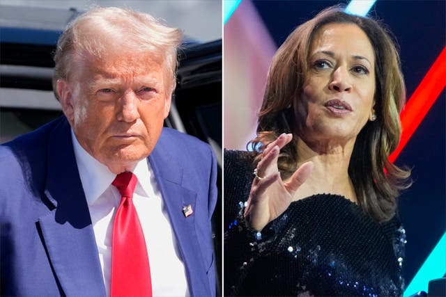 <p>Donald Trump has regained the lead over Kamala Harris in the betting markets less than a month before election day </p>