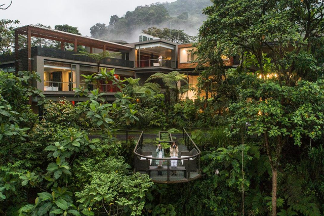 <p>The hotel offers total immersion in the Chocó bioregion of the Andes Mountains of Ecuador  </p>