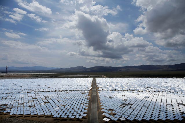 Solar Plant Demise