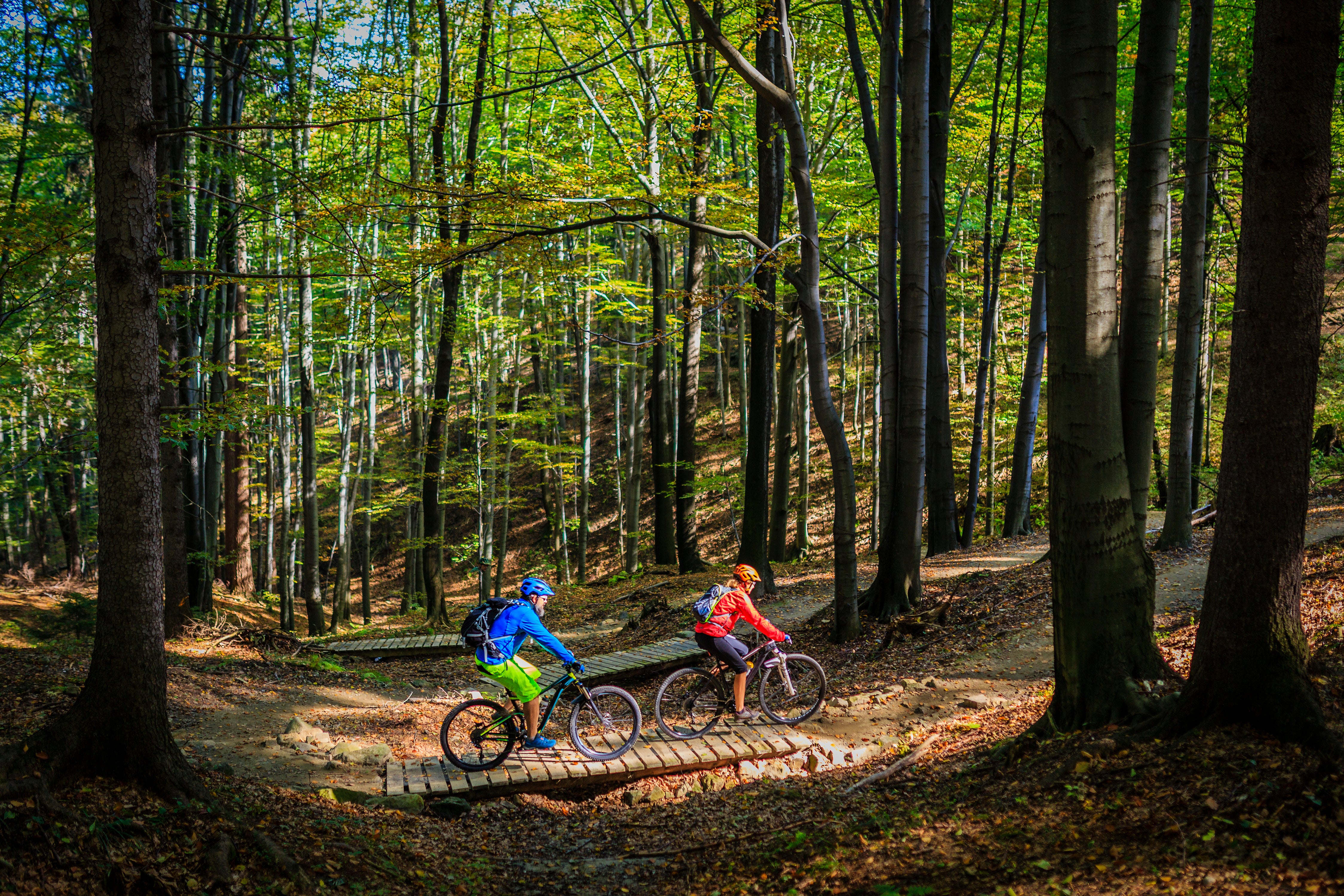 You can hire bikes for as little as £5
