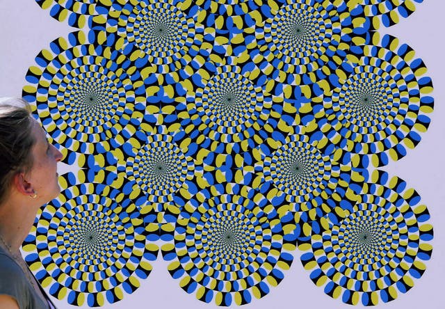<p>A woman watches an optical illusion at the Optikpark in Rathenow, eastern Germany</p>