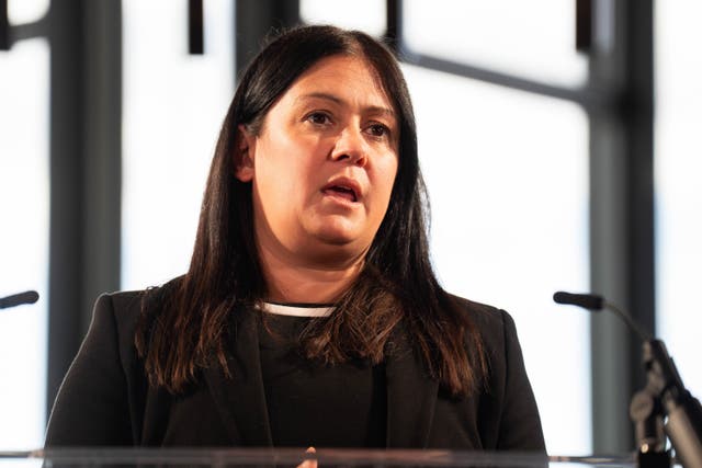 <p>Lisa Nandy has insisted the government will seek to improve ties with the European Union</p>