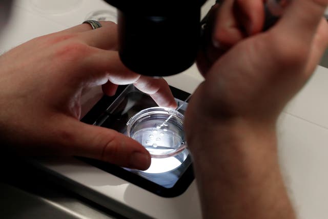 Georgia-Codify IVF