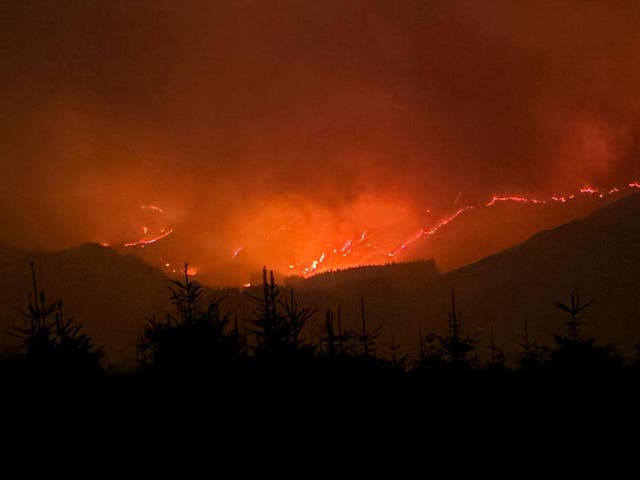 <p>File. A fire burns in the Glen Trool area of the Galloway Forest Park</p>
