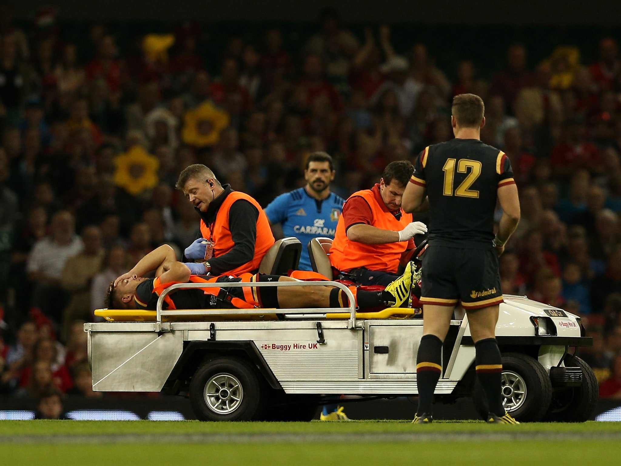 Rhys Webb has been ruled out of the Rugby World Cup
