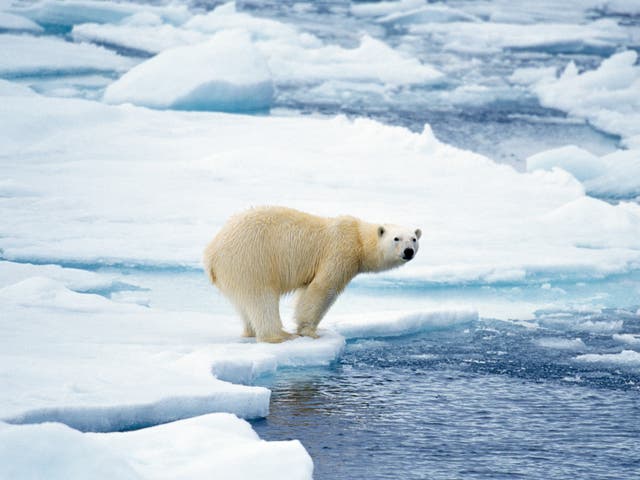 <p>Los líderes mundiales se han comprometido a reducir sus emisiones de carbono para ayudar a limitar el calentamiento global.</p>