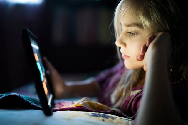<p>Technology secretary Peter Kyle says he is is considering a range of measures to protect young people online (PA)</p>
