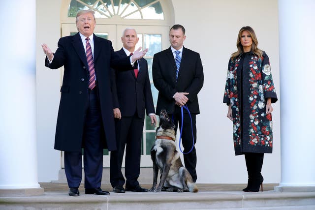 <p>Melania and Donald Trump welcome Conan to the White House to receive his medal on November 25 2019</p>