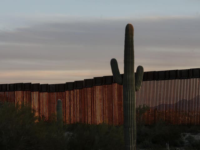 A cactus beside the border wall as seen in Organ Pipe National Park south of Ajo Arizona on 13 February 13 2020